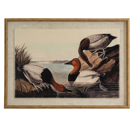 Flora & Fauna Collection Pochards On Linen In Beaded Frame